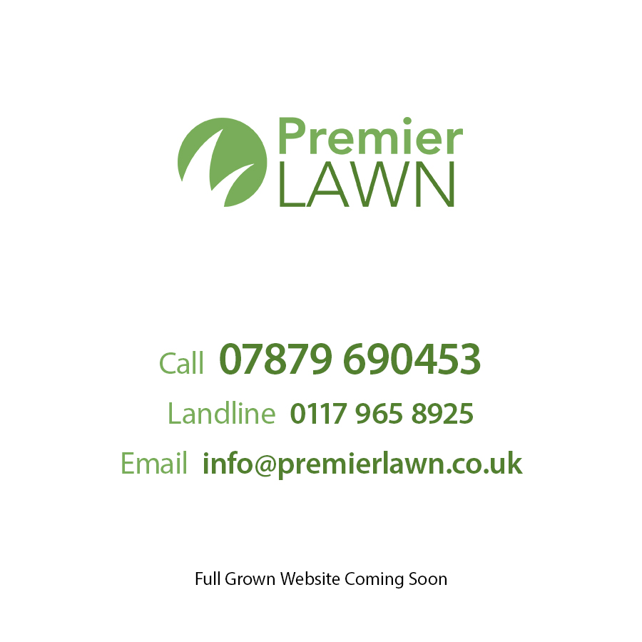 Premier Lawn